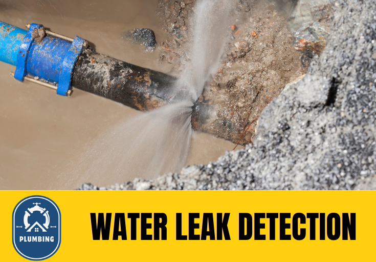 leak detection Swanscombe